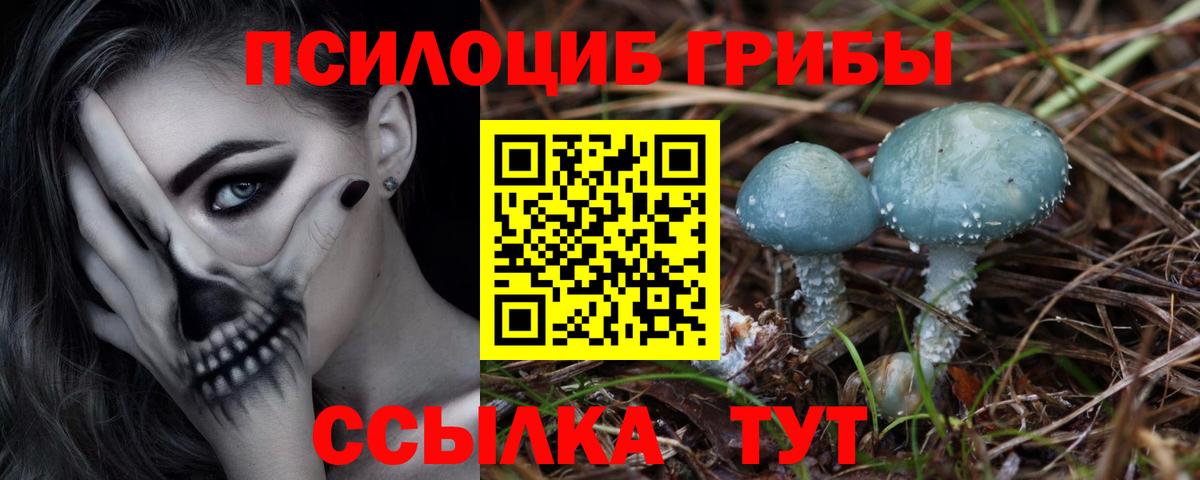 Галлюциногенные грибы мухоморы  Галлюциногенные грибы мухоморы  Карпинск  Вход с VPN 